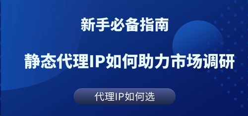 The Unique Advantages of Exclusive Static Proxy IPs in Overseas Market Research Translation Services